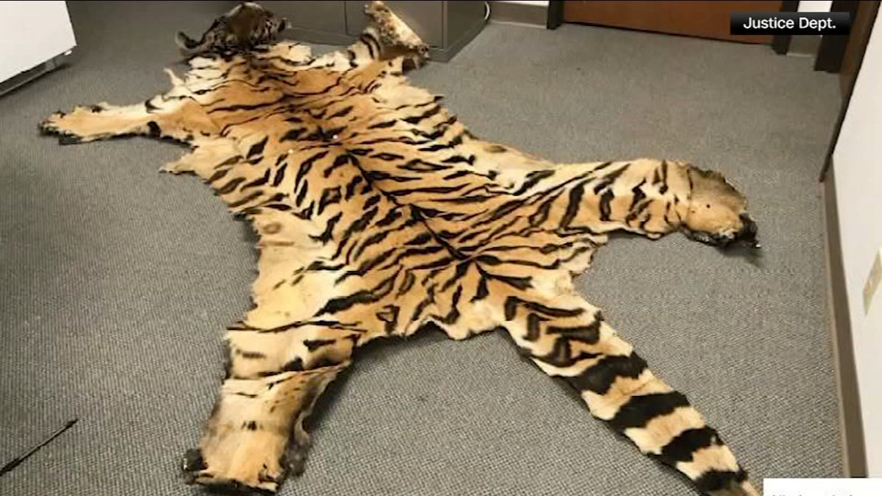 California couple pleads guilty to trafficking wildlife
       — Ambler Community news